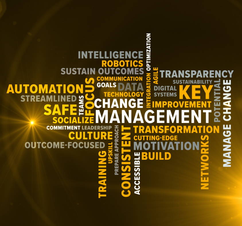 How the right change management program is key to transformation